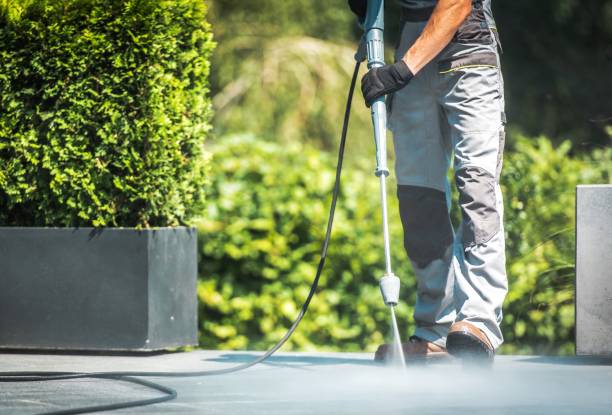 Best Driveway Cleaning and Restoration in Wauconda, IL